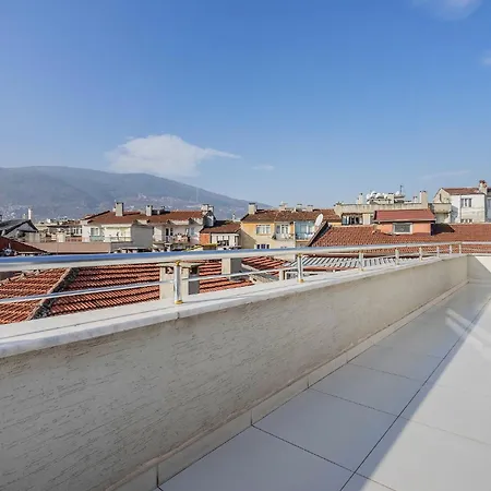 Duplex Flat W Nature View Balcony And Ac In Bursa